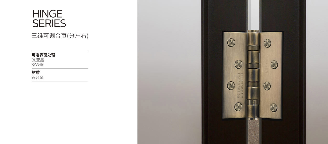 3d adjustable hinge 3